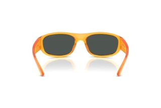 Vista posteriore Arnette GONDO (AN4361 - 287587)