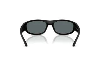 Vista posteriore Arnette GONDO (AN4361 - 290081)