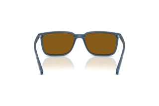 Vista posteriore Arnette DINSKY (AN4364 - 299683)