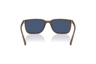 Vista posteriore Arnette DINSKY (AN4364 - 299780)