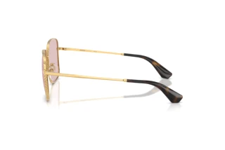 Vista laterale Burberry BE3180 (1017/5)