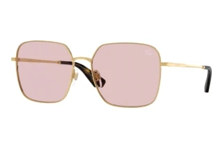 Vista frontale Burberry BE3180 (1017/5)