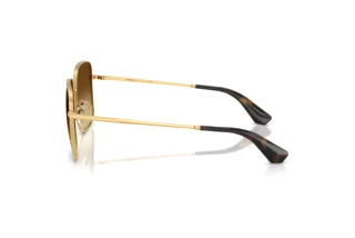 Vista laterale Burberry BE3180 (101713)