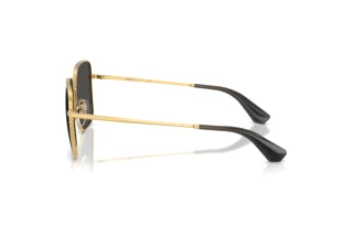 Vista laterale Burberry BE3180 (101787)