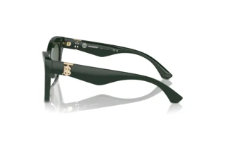 Vista laterale Burberry BE4420U (403871)