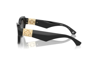 Vista laterale Burberry BE4423 (411287)