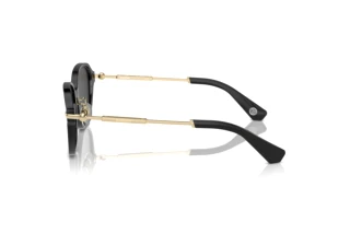 Vista laterale Burberry BE4429D (411287)