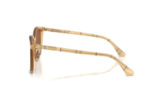 Vista laterale Burberry BE4464D (416773)