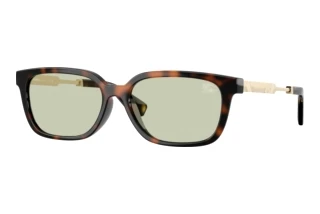 Vista frontale Burberry BE4481D (3002/2)