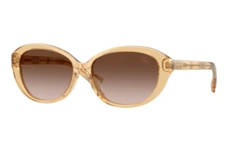 Vista frontale Burberry BE4507D (416713)