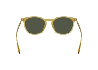 Vista posteriore Calvin Klein CK22533S N (729)