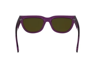 Vista posteriore Calvin Klein CKJ25600S (208)