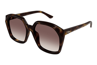 Chloé CH0280S 006