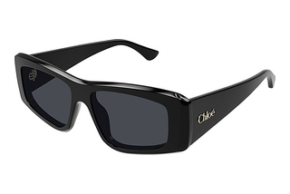 Chloé CH0299S 001