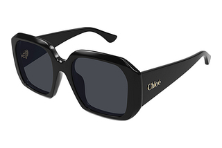 Chloé CH0300S 001 BLACK