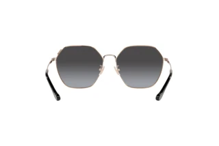 Vista posteriore Coach C7998 (HC7132 - 93318G)