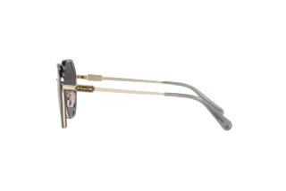 Vista laterale Coach CD477 (HC7141 - 90058G)