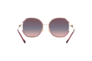 Vista posteriore Coach CD452 (HC7144BD - 94160J)