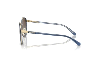 Vista laterale Coach CL924 (HC7154 - 943513)