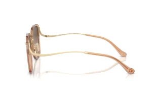 Vista laterale Coach CL905 (HC7157D - 556174)