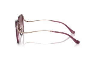 Vista laterale Coach CL905 (HC7157D - 58013P)