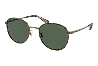 Coach HC7163 933371 Green SolidAntique Gold/Tokyo Tortoise