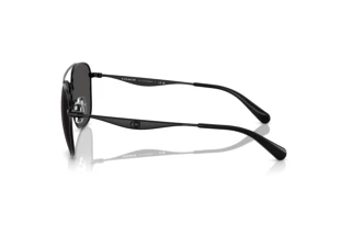 Vista laterale Coach CW404 (HC7172 - 939387)