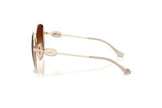 Vista laterale Coach CAD73 (HC7176B - 900574)