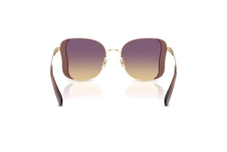 Vista posteriore Coach CDP51 (HC7188 - 900570)