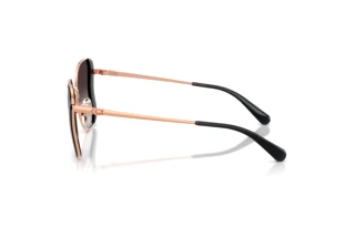 Vista laterale Coach CDP51 (HC7188 - 94078G)