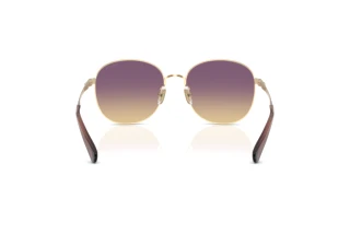 Vista posteriore Coach CDP39 (HC7189 - 900570)