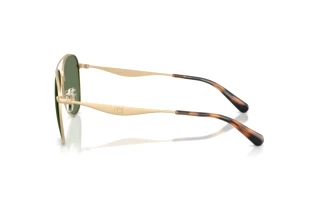 Vista laterale Coach CDP40 (HC7190 - 900582)