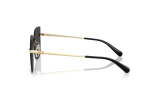 Vista laterale Coach CDP45 (HC7193D - 900587)