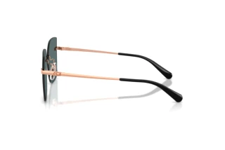 Vista laterale Coach CDP45 (HC7193D - 94071U)