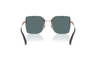 Vista posteriore Coach CDP45 (HC7193D - 94071U)