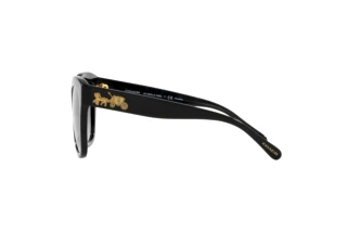 Vista laterale Coach L1083 (HC8264 - 5002T3)