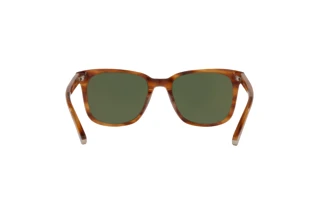 Vista posteriore Coach C2095 (HC8313U - 558171)