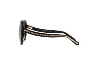 Vista laterale Coach C6185 (HC8323U - 50028G)