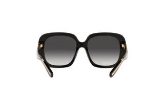 Vista posteriore Coach C6185 (HC8323U - 50028G)