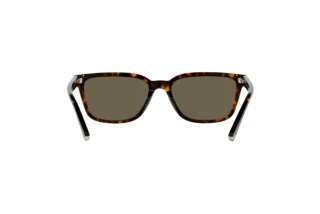 Vista posteriore Coach C6196 (HC8328U - 512003)