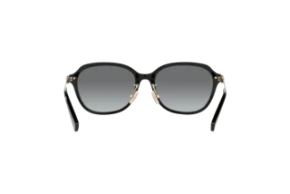 Vista posteriore Coach C6199 (HC8332D - 500211)