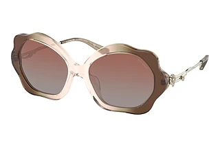 Coach HC8346BU 54008D Brown GradientGradient Transparent Brown