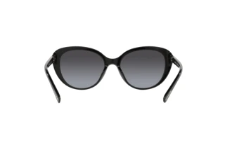 Vista posteriore Coach CD479 (HC8348U - 50028G)