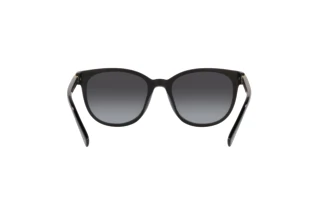 Vista posteriore Coach CD478 (HC8350U - 50028G)