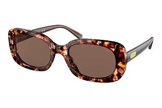 Coach HC8358U 571173 Brown SolidPearlescent Amber Tortoise