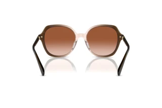 Vista posteriore Coach CL925 (HC8377U - 540013)