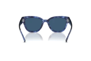 Vista posteriore Coach CL920 (HC8379U - 583755)