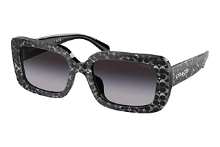 Coach HC8380U 55208G Grey GradientGrey Pearl Signature C