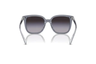 Vista posteriore Coach CL918 (HC8381U - 57808G)