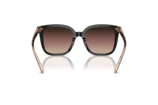 Vista posteriore Coach CL918 (HC8381U - 5781E2)